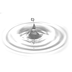 Splish Splash